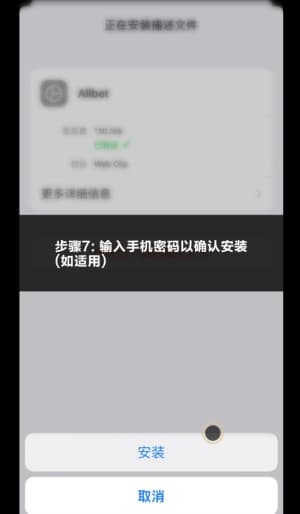 欧博iOS移动应用部署流程示意图7